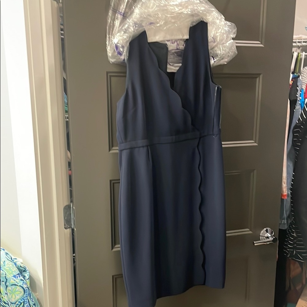J crew navy scallop dress